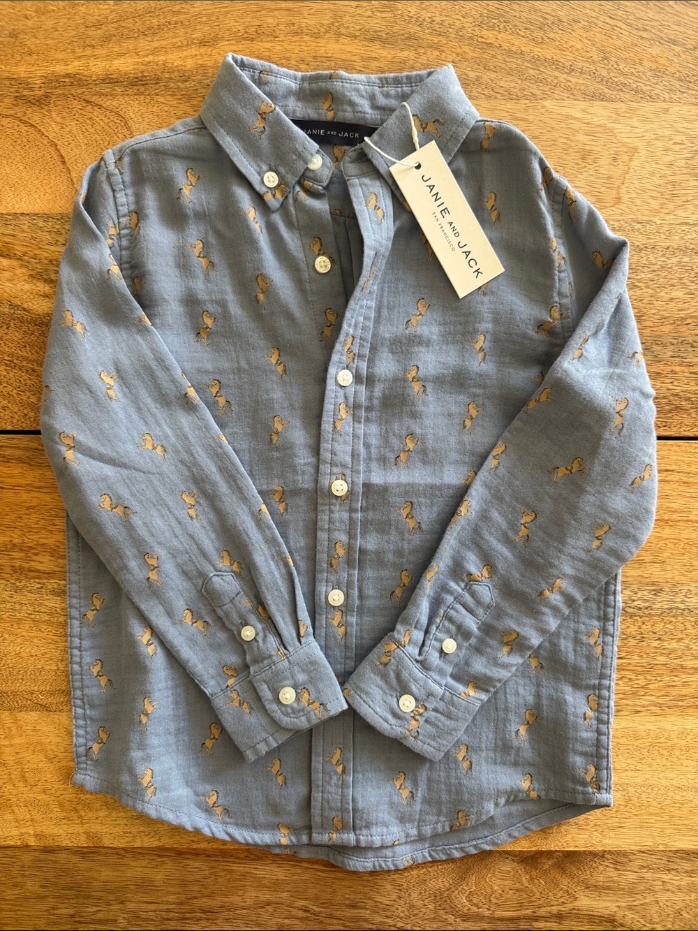 Janie and Jack Blue Button-Down Shirt
